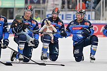 Eishockey, Herren, DEL, Saison 2023-2024, Spieltag 3, ERC Ingolstadt - Schwenninger Wild Wings, 22.09.2023