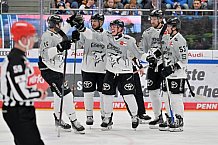 Eishockey, Herren, DEL, Saison 2024-2025, Spieltag 36, ERC Ingolstadt - Kölner Haie, 12.01.2025