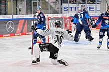 Eishockey, Herren, DEL, Saison 2024-2025, Spieltag 42, ERC Ingolstadt - Kölner Haie, 31.01.2025