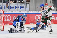 Eishockey, Herren, DEL, Saison 2023-2024, Spieltag 35, ERC Ingolstadt - Augsburger Panther, 05.01.2024