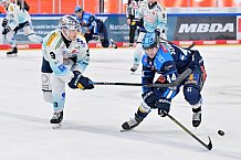 Eishockey, Herren, DEL, Saison 2025-2026, Spiel 44, ERC Ingolstadt - Dresdner Eislöwen, 27.01.2026