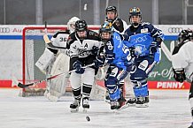 Eishockey, Frauen, DFEL, Saison 2023-2024, ERC Ingolstadt - Amsterdam Tigers, 06.01.2024