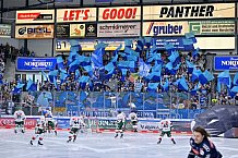 Eishockey, Herren, DEL, Saison 2024-2025, Spieltag 15, ERC Ingolstadt - Augsburger Panther, 03.11.2024