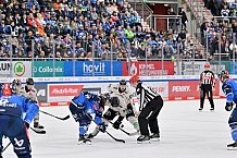 Eishockey, Herren, DEL, Saison 2023-2024, PrePlayoffs - Spiel 1, ERC Ingolstadt - Kölner Haie, 10.03.2024