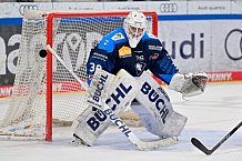 Eishockey, Herren, U20 DNL, Saison 2025-2026, ERC Ingolstadt - Krefeld Pinguine, 10.01.2026