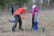 Eishockey, Herren, DEL, Saison 2023-2024, ERC Ingolstadt - Baumpflanzaktion, 02.03.2024