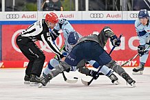 Eishockey, Herren, DEL, Saison 2023-2024, Spieltag 30, ERC Ingolstadt - Straubing Tigers, 23.12.2023