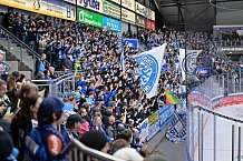 Eishockey, Herren, DEL, Saison 2026-2027, Spieltag 13, ERC Ingolstadt - Eisbären Berlin, 30.10.2026