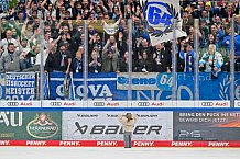 Eishockey, Herren, DEL, Saison 2024-2025, Spieltag 35, ERC Ingolstadt - Augsburger Panther, 10.01.2025