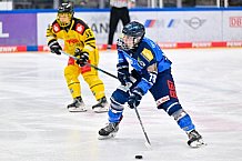 Eishockey, U20, DNL, Saison 2024-2025, ERC Ingolstadt - Krefelder EV 81, 01.03.2025