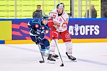 Hockey, Mens, CHL, Season 2025-2026, Regular Season, Round of 16, ERC Ingolstadt - EC Red Bull Salzburg, 12.11.2025