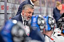 Eishockey, Herren, DEL, Saison 2024-2025, Playoffs Viertelfinale, Spiel 1, Nürnberg Ice Tigers - ERC Ingolstadt, 18.03.2025