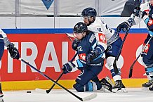 Eishockey, Mens, CHL, Season 2023-2024, ERC Ingolstadt - Vitkovice Ridera, 17.10.2023
