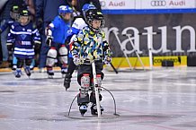 ERC Ingolstadt Kids on Ice Day, DEL, Deutsche Eishockey Liga, 12.10.2019