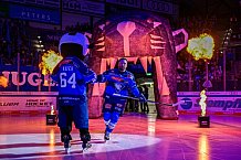 Eishockey, Herren, DEL, Saison 2026-2027, Spieltag 8, ERC Ingolstadt - Löwen Frankfurt, 11.10.2026