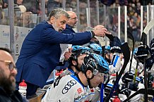 Eishockey, Herren, DEL, Saison 2025-2026, Spiel 39, Nürnberg Ice Tigers - ERC Ingolstadt, 11.01.2026