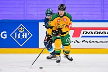 Hockey, Mens, CHL, Season 2025-2026, Regular Season, Game Day 1, ERC Ingolstadt - Ilves Tampere, 28.08.2025