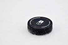 Eishockey, Herren, DEL, Saison 2021-2022, Spieltag 51, ERC Ingolstadt - Bietigheim Steelers, 29.03.2022