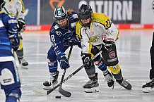 Eishockey, Frauen, DFEL, Saison 2021-2022, ERC Ingolstadt - Mad Dogs Mannheim, 23.10.2021