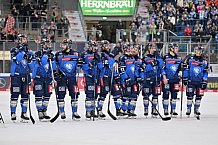 Eishockey, Herren, DEL, Saison 2023-2024, Spieltag 45, ERC Ingolstadt - Fischtown Pinguins, 27.02.2024