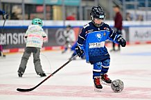 Eishockey, Saison 2025-2026, ERC Ingolstadt - Kids On Ice Day, 29.11.2025