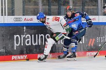 Eishockey, Herren, DEL, Saison 2023-2024, Spieltag 35, ERC Ingolstadt - Augsburger Panther, 05.01.2024