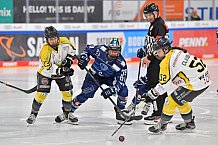 Eishockey, Frauen, DFEL, Saison 2021-2022, ERC Ingolstadt - Mad Dogs Mannheim, 24.10.2021