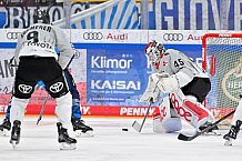 Eishockey, Herren, DEL, Saison 2024-2025, Spieltag 42, ERC Ingolstadt - Kölner Haie, 31.01.2025