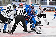 Eishockey, Herren, DEL, Saison 2025-2026, Spiel 16, ERC Ingolstadt - Kölner Haie, 31.10.2025