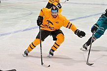 Eishockey, Herren, DEL, Saison 2026-2027, ERC Ingolstadt - HC Verva Litvinov - Steinbach Black Wings Linz, 22.08.2026