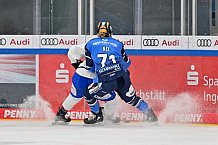 Eishockey, Frauen, DFEL, Saison 2023-2024, ERC Ingolstadt - ESC Planegg-Würmtal, 26.11.2023