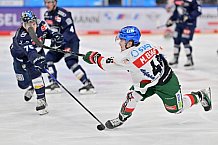 Eishockey, Herren, DEL, Saison 2024-2025, Spieltag 15, ERC Ingolstadt - Augsburger Panther, 03.11.2024