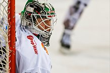 ERC Ingolstadt vs Augsburger Panther, Eishockey, DEL, Deutsche Eishockey Liga, Spieltag 21, 23.11.2016

