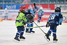 Eishockey, Herren, DEL, Saison 2023-2024, ERC Ingolstadt - Kids on Ice Day, 30.09.2023