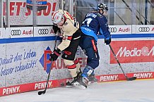 Eishockey, Herren, DEL, Saison 2024-2025, Spieltag 38, ERC Ingolstadt - Nürnberg Ice Tigers, 19.01.2025