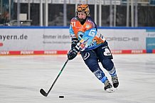 Eishockey, Frauen, DFEL, Saison 2024-2025, ERC Ingolstadt - Eisbären Berlin, 15.02.2025