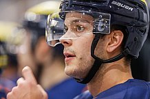 ERC Ingolstadt  - Grizzlys Wolfsburg, Eishockey, DEL, Deutsche Eishockey Liga, Spieltag 37, 13.01.2017