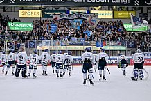 Eishockey, Herren, DEL, Saison 2024-2025, Spieltag 49, ERC Ingolstadt - Straubing Tigers, 28.02.2025