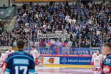 Hockey, Mens, CHL, Season 2025-2026, Regular Season, Round of 16, ERC Ingolstadt - EC Red Bull Salzburg, 12.11.2025