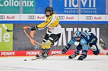 Eishockey, Frauen, DFEL, Halbfinale, Saison 2022-2023, ERC Ingolstadt - Mad Dogs Mannheim, 25.02.2023