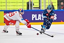 Hockey, Mens, CHL, Season 2025-2026, Regular Season, Round of 16, ERC Ingolstadt - EC Red Bull Salzburg, 12.11.2025