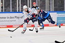 Eishockey, Herren, DEL, Saison 2024-2025, Spieltag 32, ERC Ingolstadt - Adler Mannheim, 30.12.2024