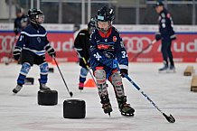 Eishockey, Herren, DEL, Saison 2024-2025, ERC Ingolstadt - Kids On Ice Day, 11.01.2025