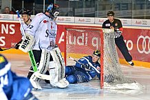 ERC Ingolstadt vs Straubing Tigers, Eishockey, DEL, Deutsche Eishockey Liga, Spieltag 41, 24.01.2017