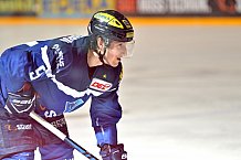 ERC Ingolstadt vs Straubing Tigers, Eishockey, DEL, Deutsche Eishockey Liga, Spieltag 41, 24.01.2017