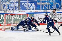 Eishockey, Herren, DEL, Saison 2024-2025, Playoffs Halbfinale, Spiel 1, ERC Ingolstadt - Kölner Haie, 02.04.2025