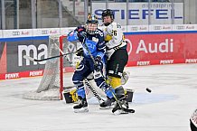 Eishockey, Frauen, DFEL, Saison 2023-2024, ERC Ingolstadt - Mad Dogs Mannheim, 18.02.2024