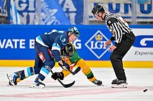 Hockey, Mens, CHL, Season 2025-2026, Regular Season, Game Day 1, ERC Ingolstadt - Ilves Tampere, 28.08.2025