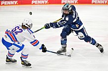 Eishockey, Frauen, DFEL, Saison 2021-2022, ERC Ingolstadt - ESC Planegg-Würmtal, 22.01.2021