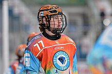 Eishockey, Frauen, DFEL, Saison 2024-2025, ERC Ingolstadt - EC Bergkamener Bären, 04.01.2025